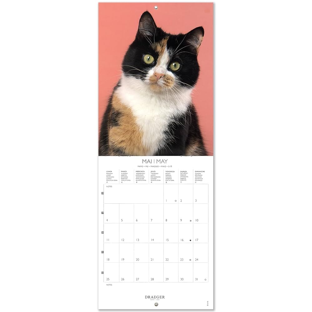 Amazon | ドレジャー 2026年 スモールカレンダー 猫 動物 壁掛け